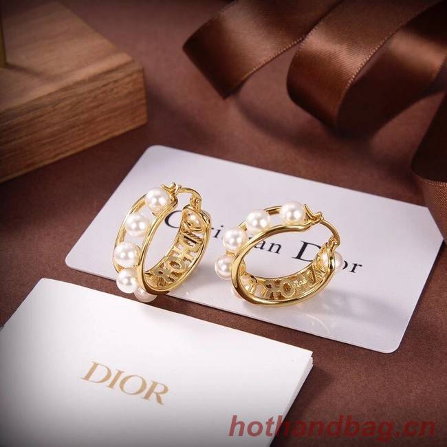 Dior Earrings CE6503