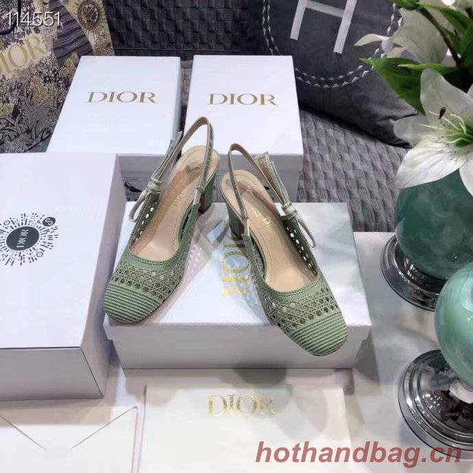 DIOR & MOI SLINGBACK PUMP Mesh Cannage Embroidery Dior777DJ-4