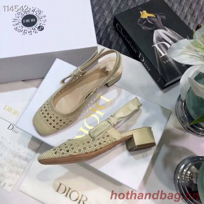 Dior Shoes Dior777DJ-10