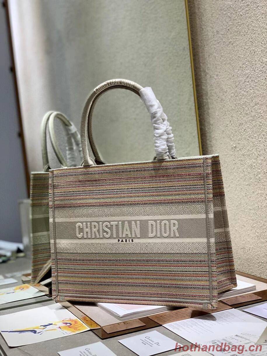 SMALL DIOR BOOK TOTE Multicolor Stripes Embroidery M1296ZRF