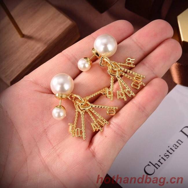 Dior Earrings CE6550