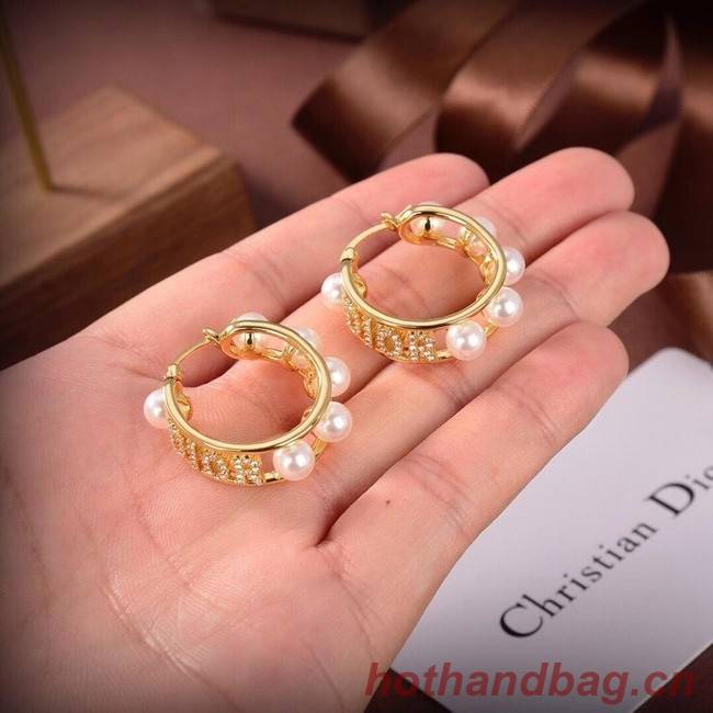 Dior Earrings CE6556