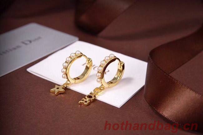 Dior Earrings CE6557