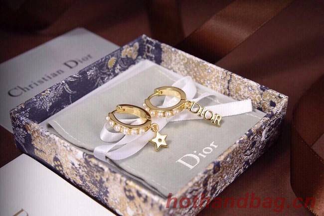 Dior Earrings CE6557