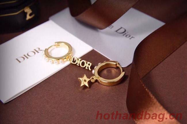 Dior Earrings CE6557