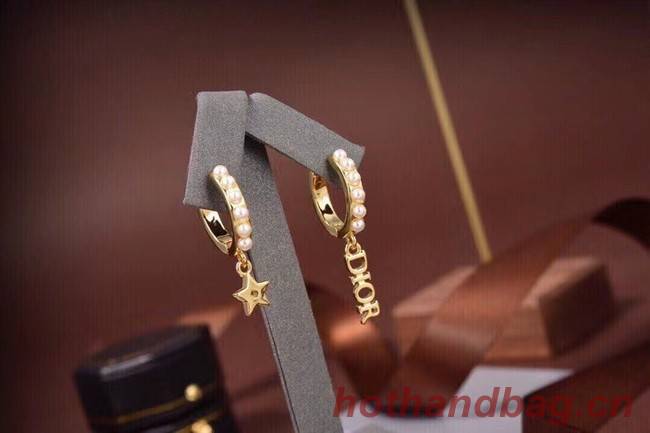 Dior Earrings CE6557