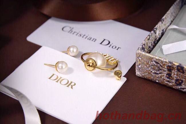 Dior Earrings CE6558