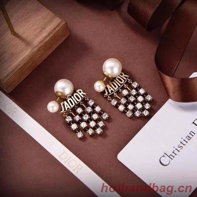 Dior Earrings CE6583