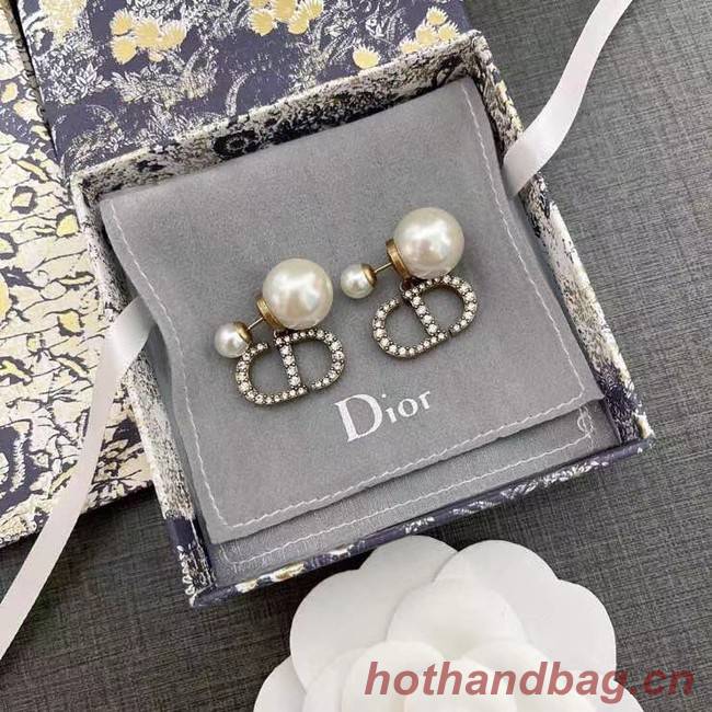 Dior Earrings CE6616