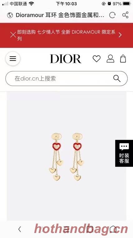 Dior Earrings CE6641