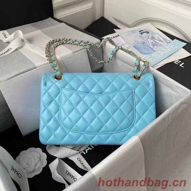 chanel classic handbag Lambskin & gold Metal A01112 light blue