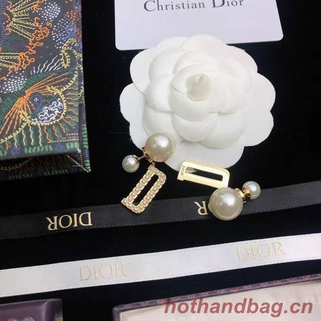 Dior Earrings CE6681