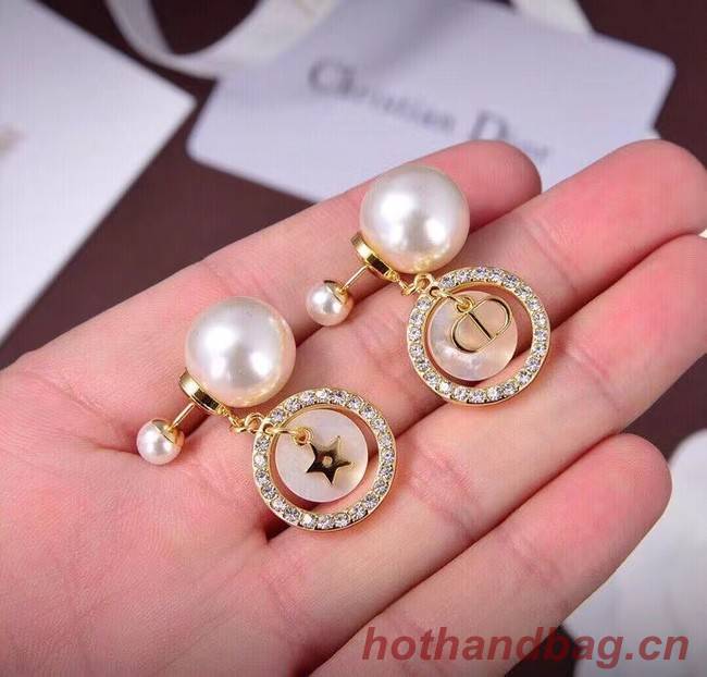 Dior Earrings CE6738