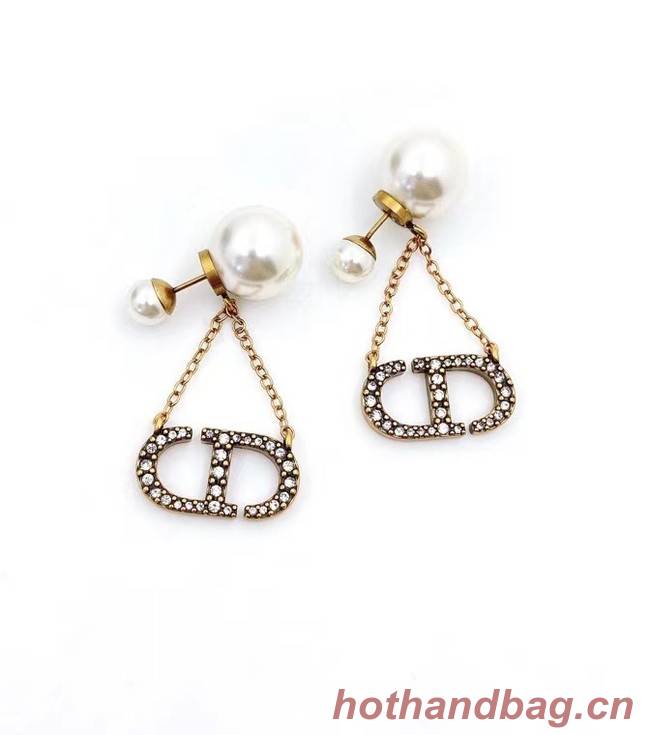 Dior Earrings CE6744