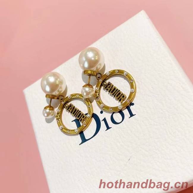 Dior Earrings CE6782