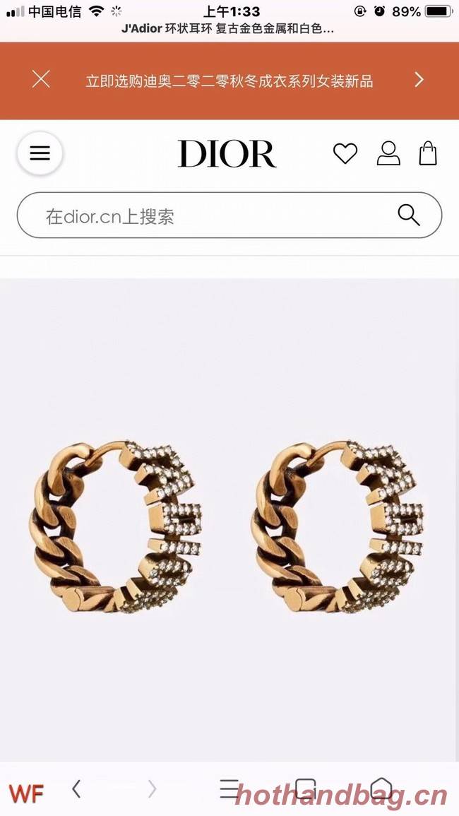 Dior Earrings CE6833