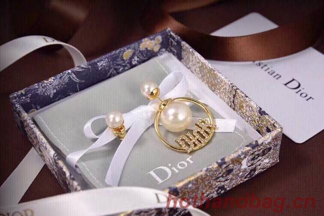 Dior Earrings CE6853