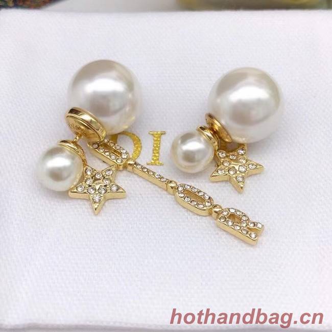 Dior Earrings CE6859