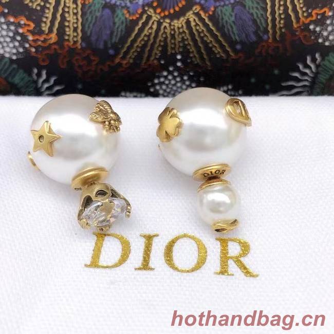 Dior Earrings CE6860