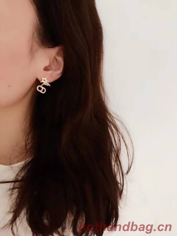 Dior Earrings CE6884