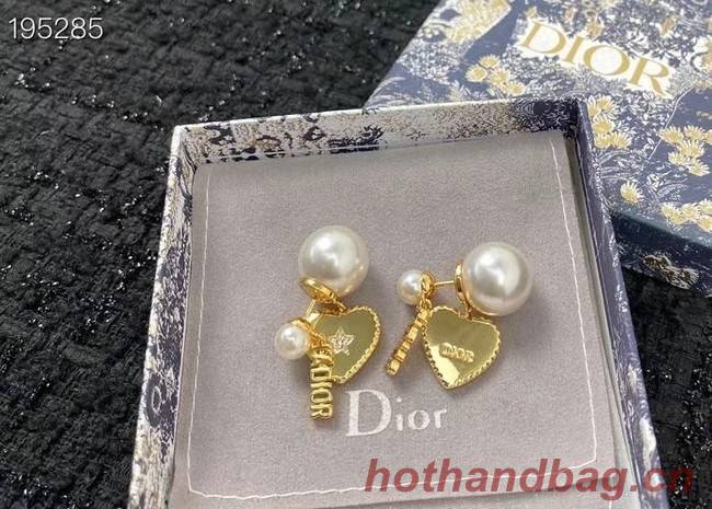 Dior Earrings CE6891