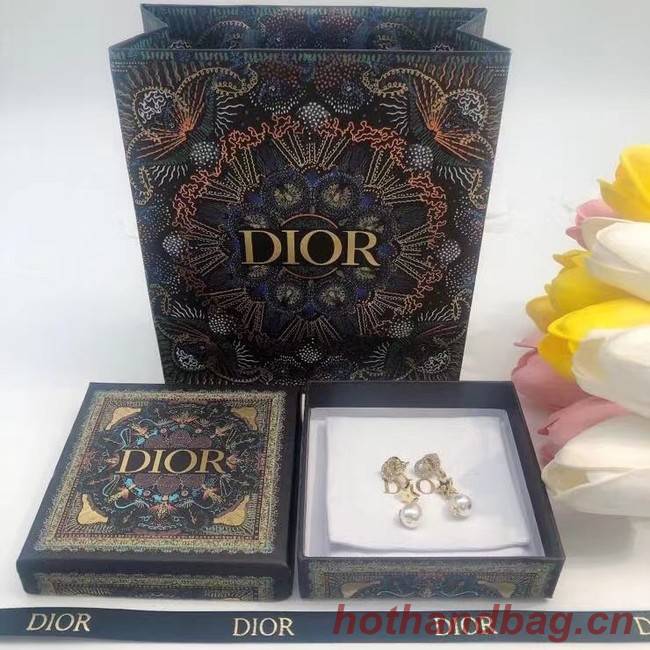 Dior Earrings CE6927