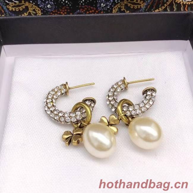 Dior Earrings CE6928