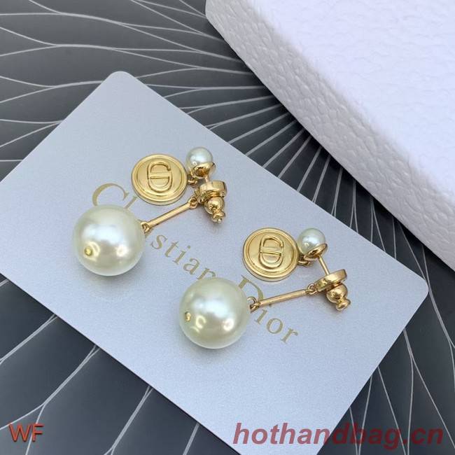 Dior Earrings CE6954