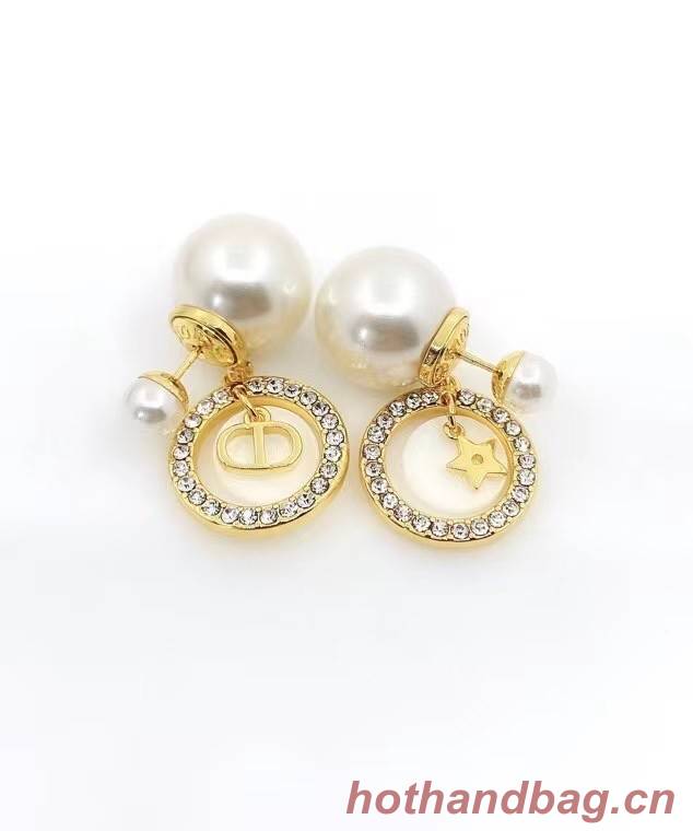 Dior Earrings CE6973