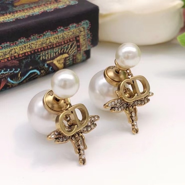 Dior Earrings CE7028