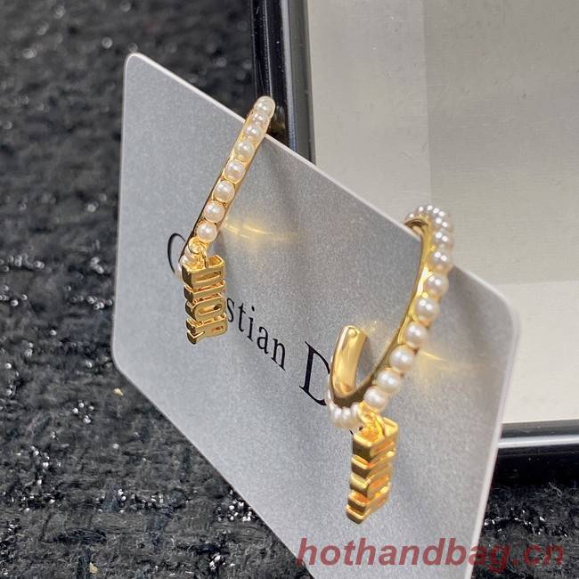 Dior Earrings CE7151