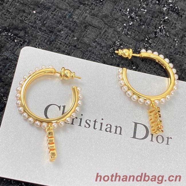 Dior Earrings CE7151