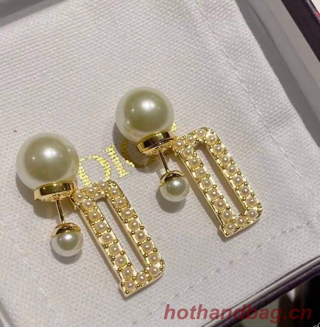 Dior Earrings CE7152