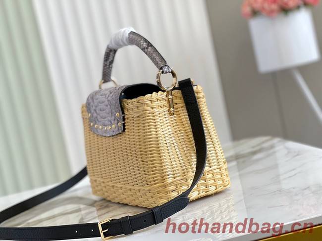 Louis Vuitton CAPUCINES BB M55011 gray