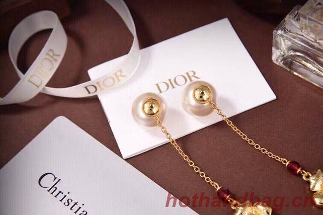 Dior Earrings CE7201