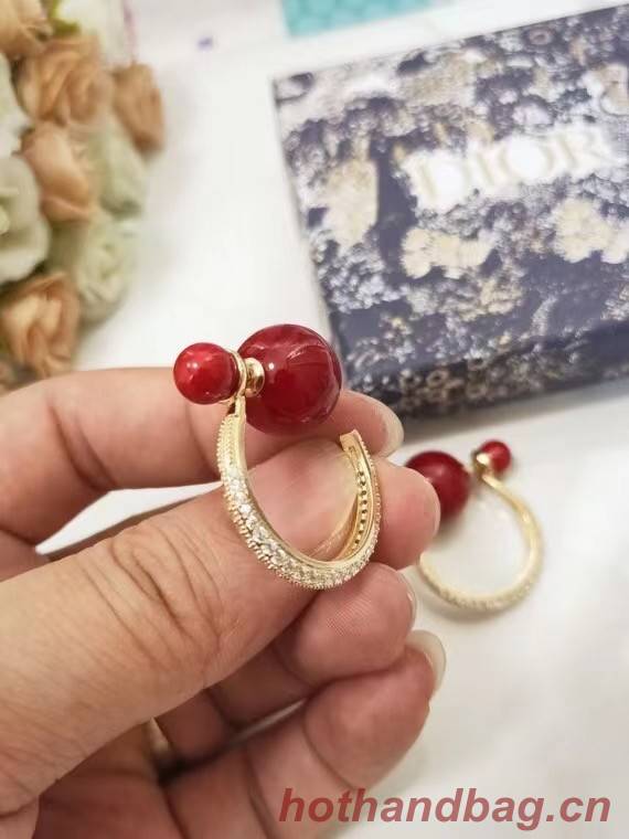 Dior Earrings CE7215