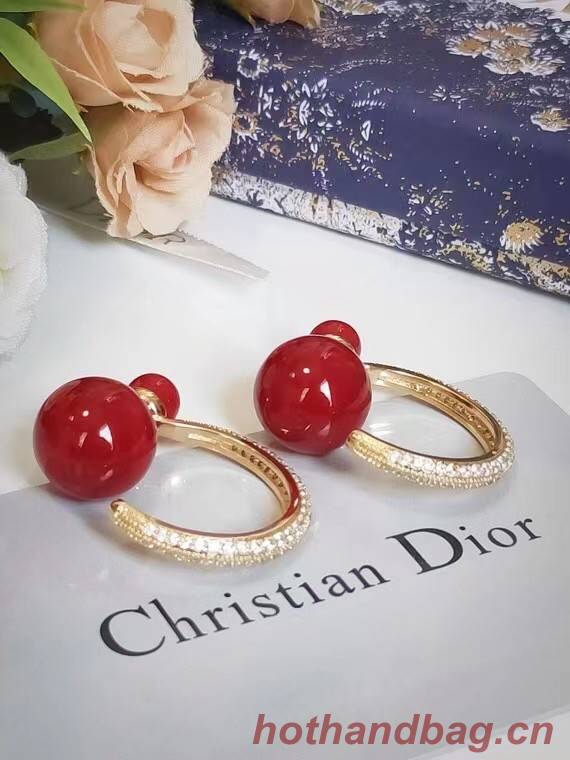 Dior Earrings CE7215