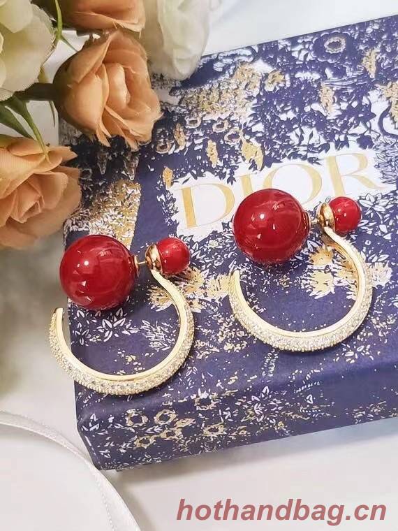 Dior Earrings CE7215