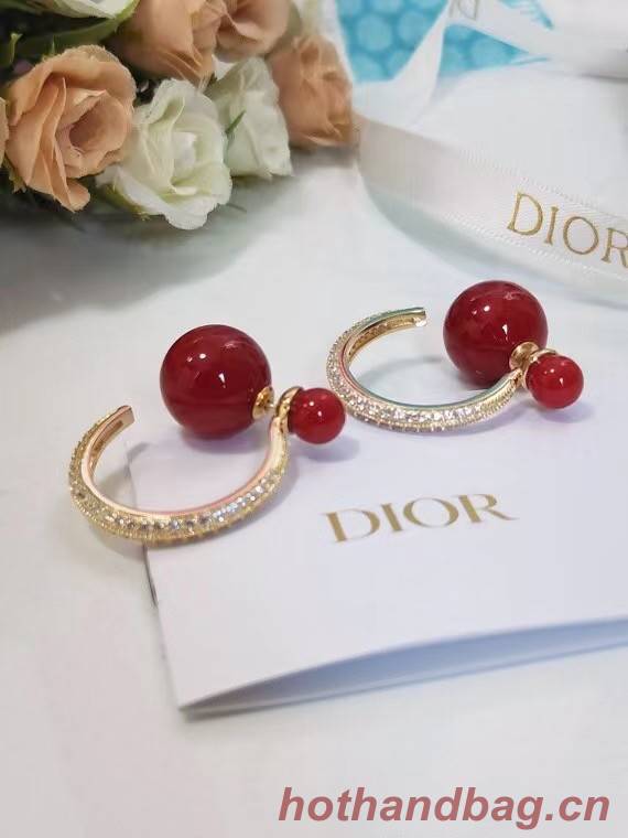 Dior Earrings CE7215