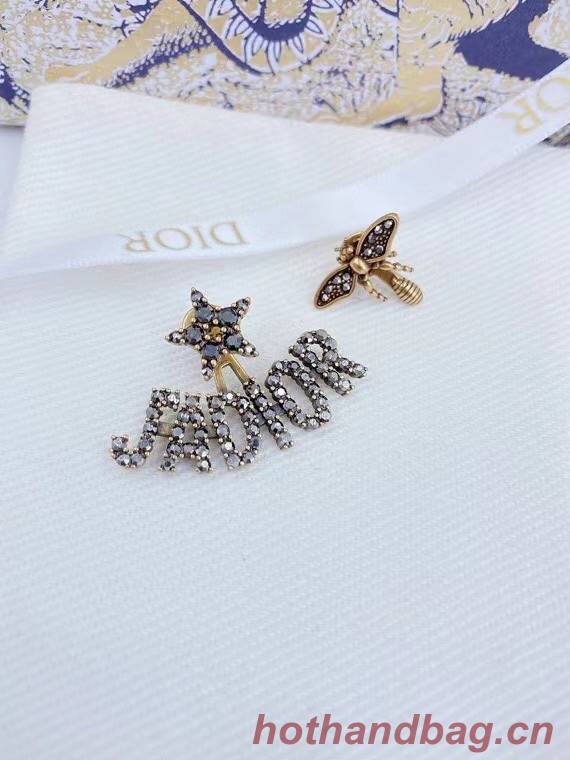 Dior Earrings CE7217