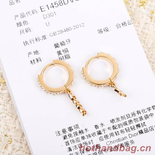 Dior Earrings CE7299