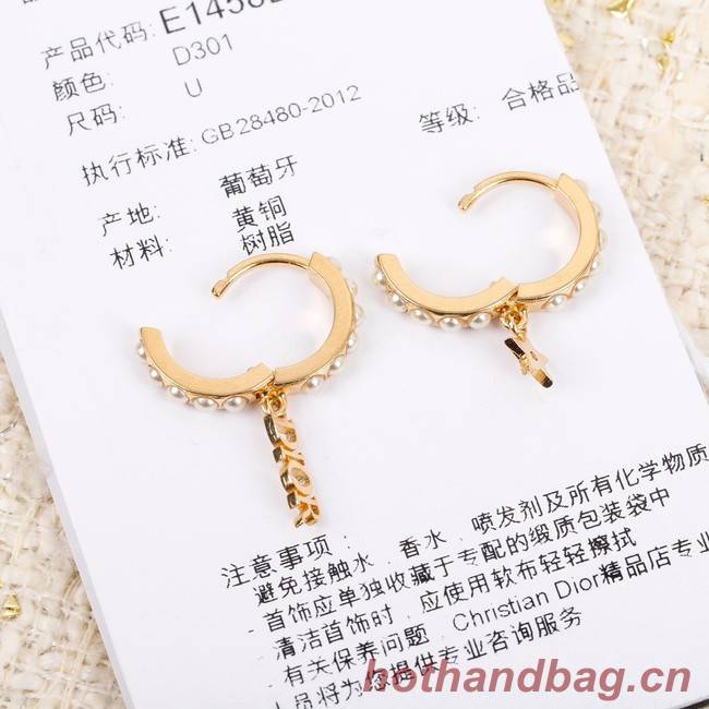 Dior Earrings CE7299