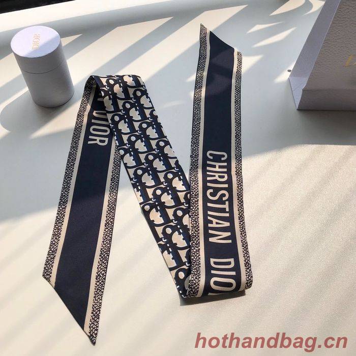 Dior Scarf CD00100