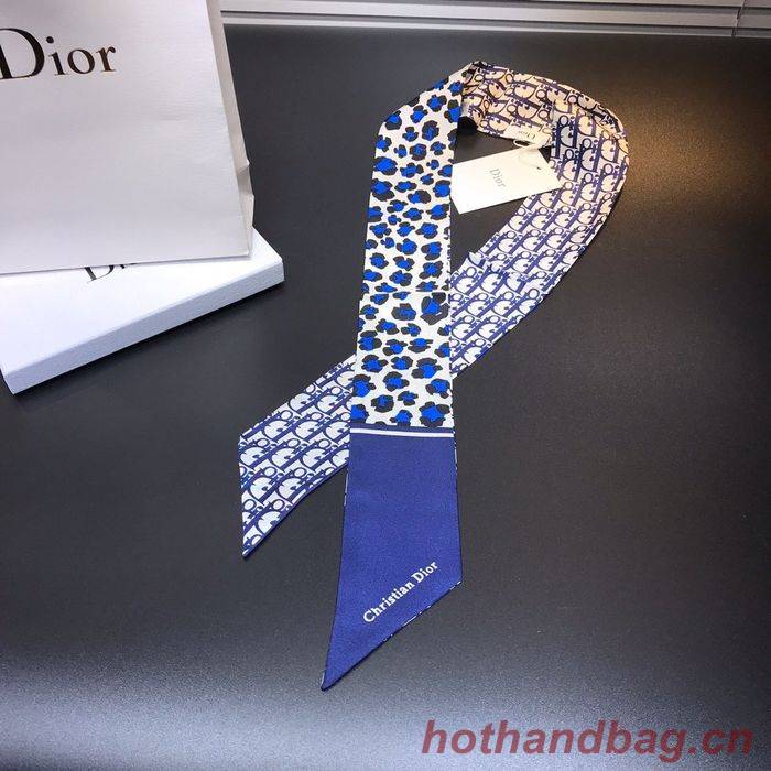 Dior Scarf CD00104