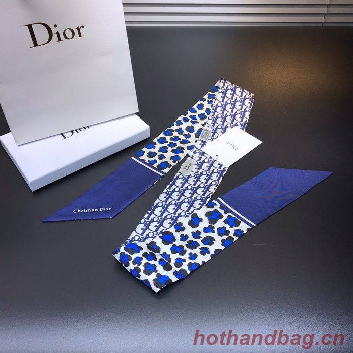 Dior Scarf CD00104