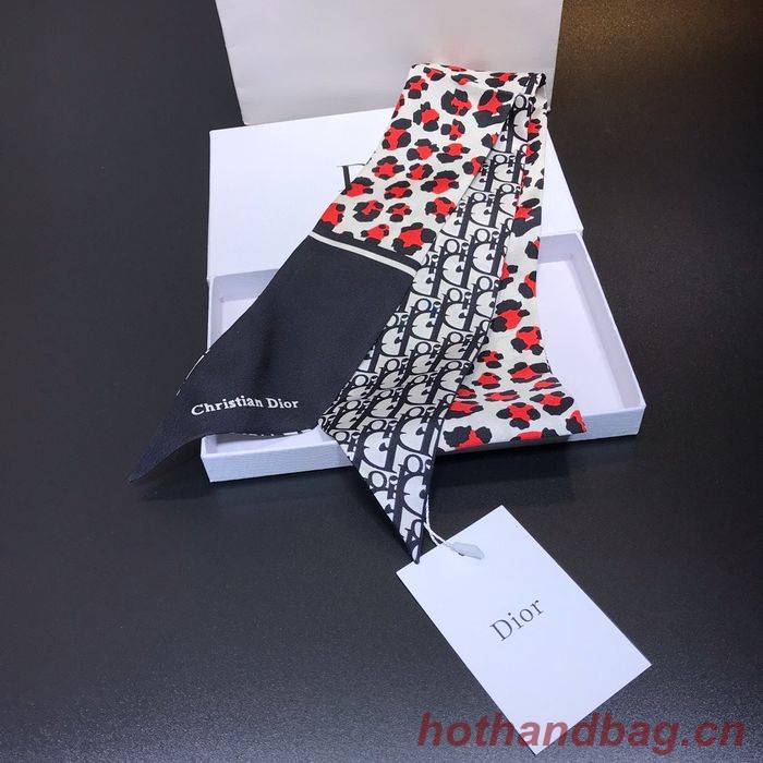 Dior Scarf CD00105