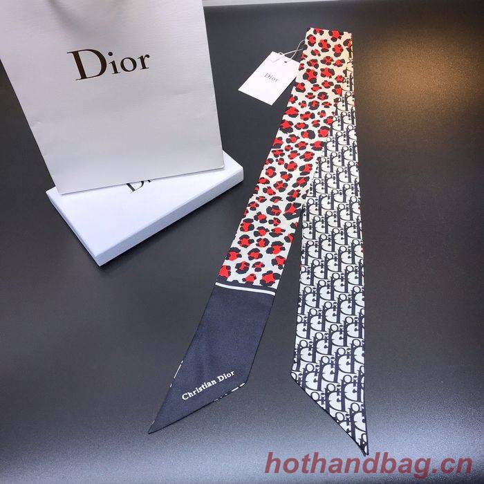 Dior Scarf CD00105