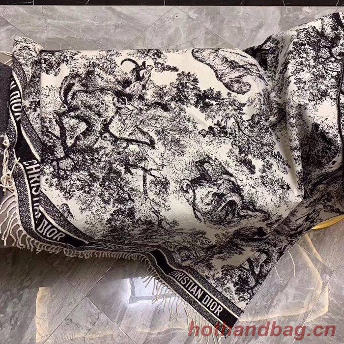 Dior Scarf CD00136