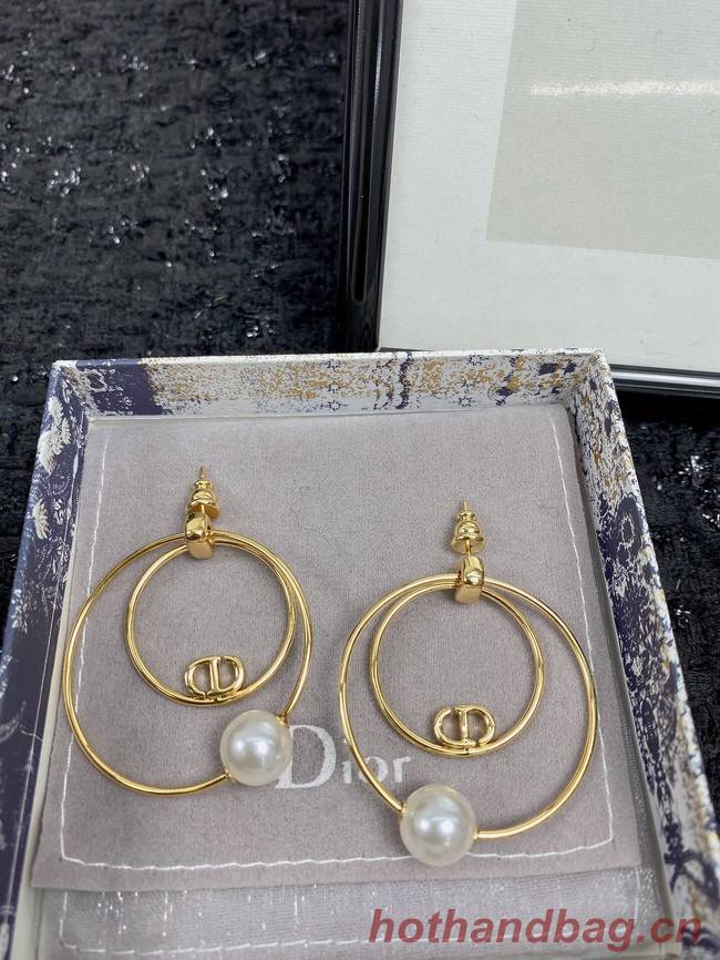 Dior Earrings CE7455