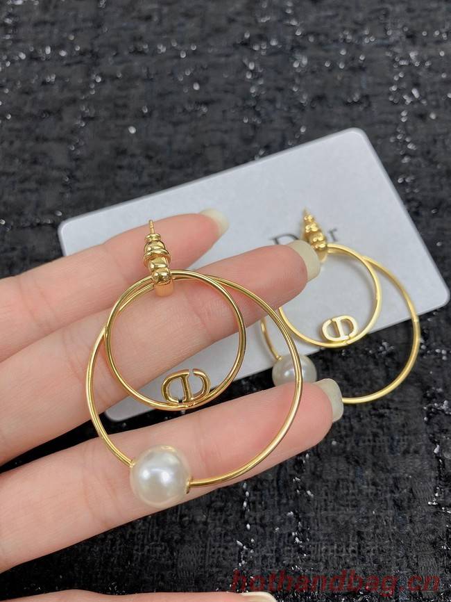 Dior Earrings CE7455